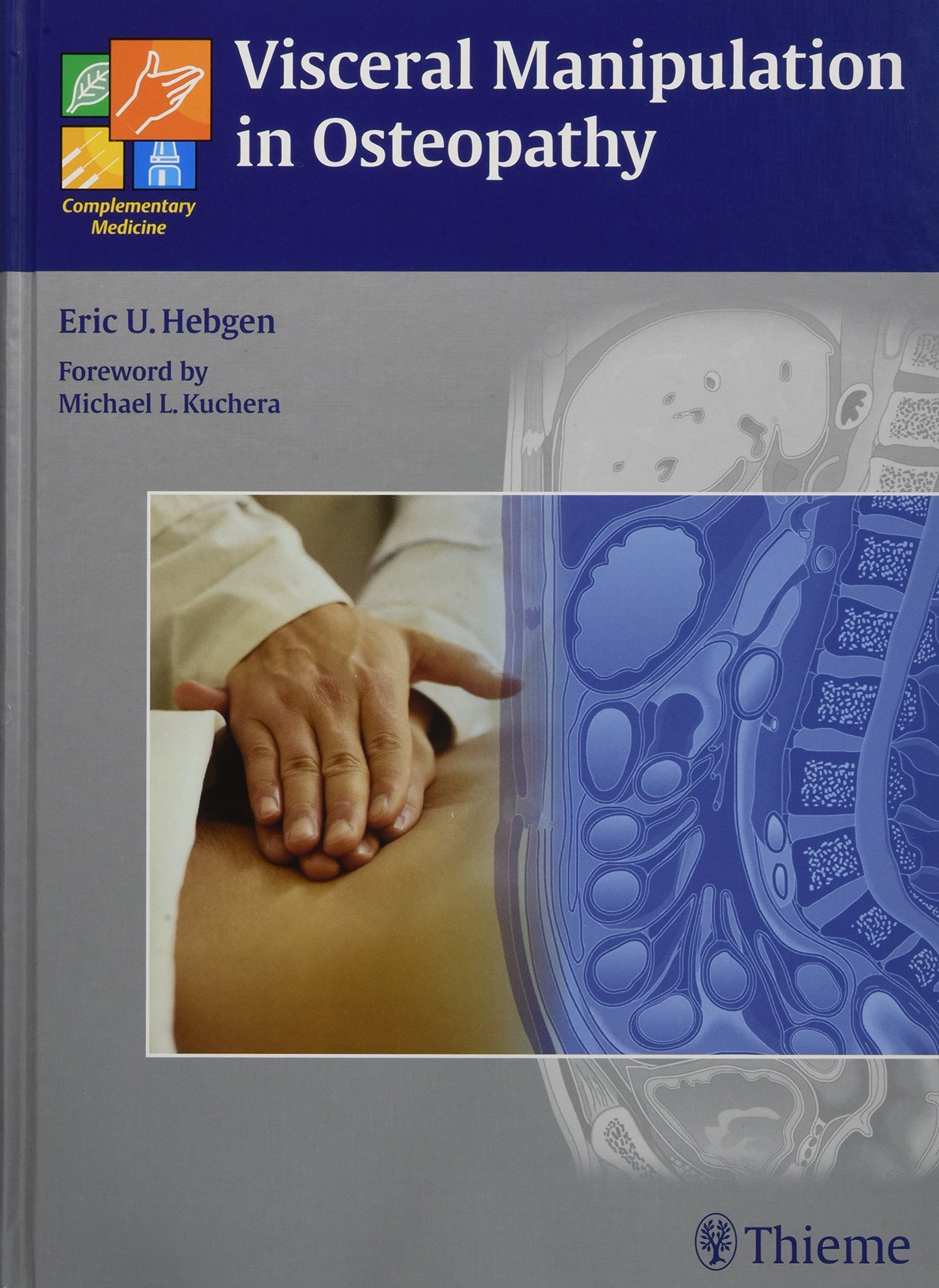 Visceral Manipulation in Osteopathy: A Practical Handbook [Hardcover] Hebgen, Eric