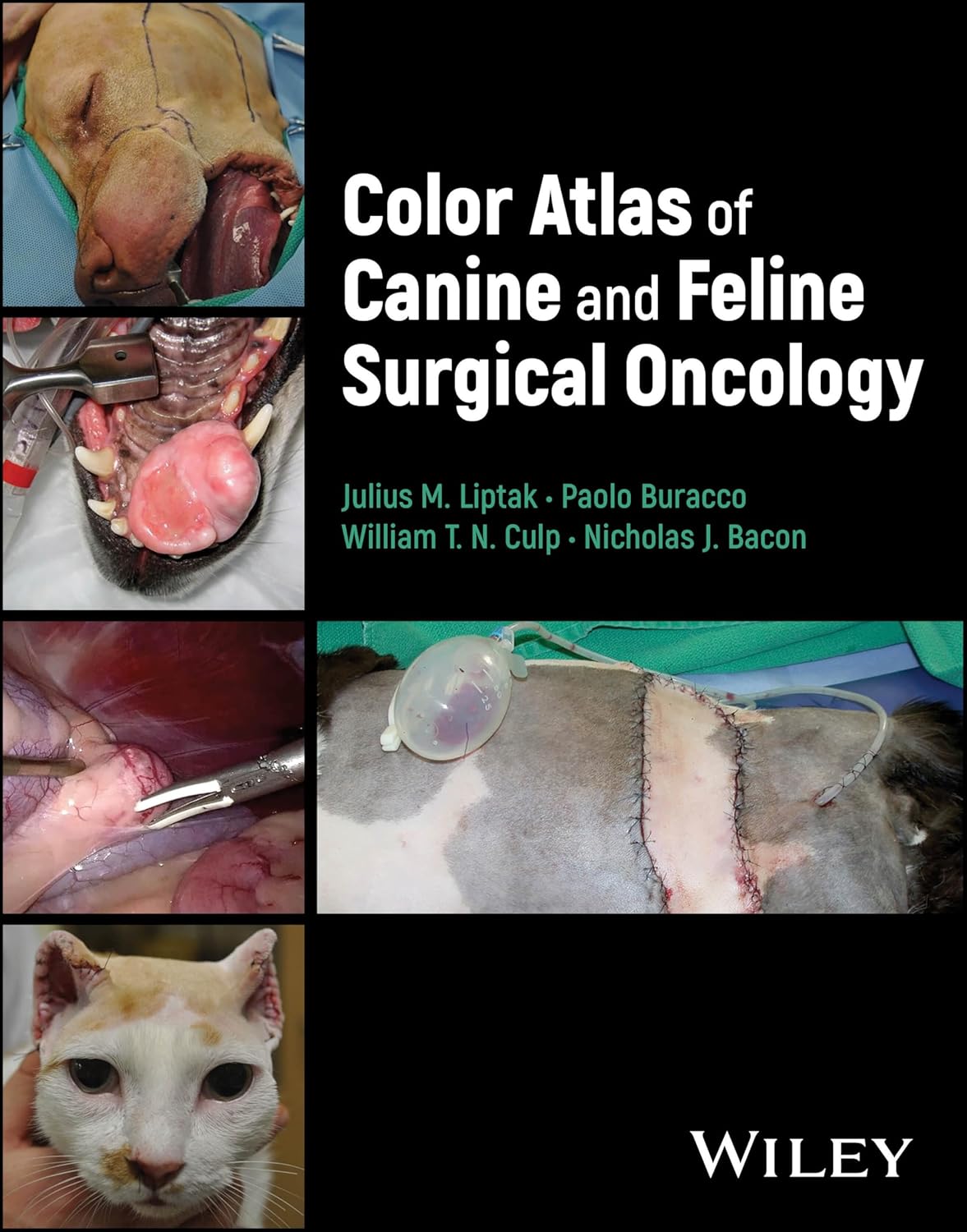 Color Atlas of Canine and Feline Surgical Oncology [Hardcover] Liptak, Julius M.; Buracco, Paolo; Culp, William T. N. and Bacon, Nicholas J.
