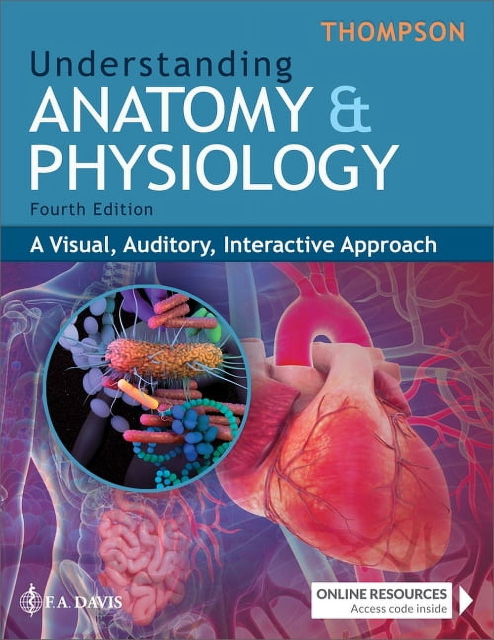 Understanding Anatomy & Physiology: A Visual, Auditory, Interactive Approach, (Paperback)
