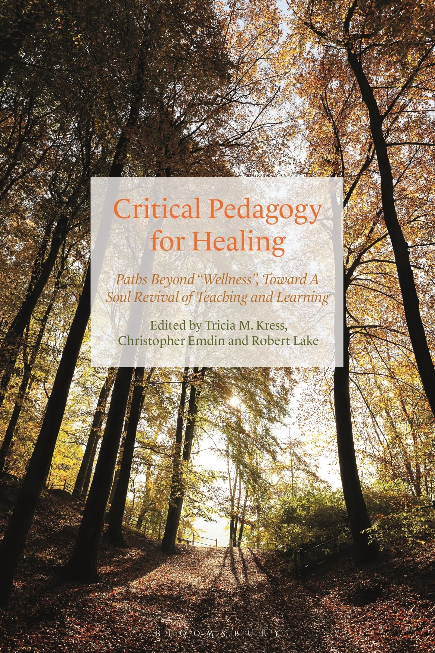 Critical Pedagogy for Healing: Paths Beyond "Wellness," Toward a Soul Revival of Teaching and Learning [Paperback] Kress, Tricia; Emdin, Christopher and Lake, Robert