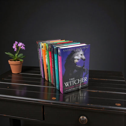 The Witcher Eight-Book Illustrated Collection Set by Andrzej Sapkowski (Complete Fantasy Series)