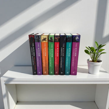 The Witcher Eight-Book Illustrated Collection Set by Andrzej Sapkowski (Complete Fantasy Series)